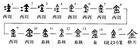 金同音字|金的同音字